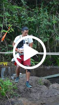 BIB:  <button type="button" onclick="openModal(27666052)" class="btn btn-primary btn-sm float-right" data-toggle="modal" data-target=".modal-high-quality">
                <i class="fa fa-download"></i> Download
                </button>